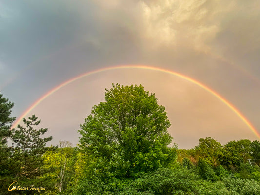 Nature's Embrace: Cultivating Spiritual Wellness Through Deep Connection