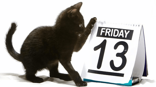 Friday the 13th: Celebration, Manifestation and Transformation