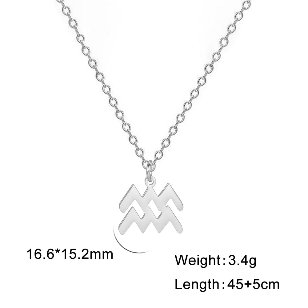 aquarius silver Zodiac Pendant Necklace